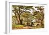 Cedars of Lebanon-English-Framed Giclee Print