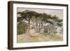 Cedars of Lebanon-Edward Lear-Framed Giclee Print