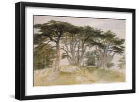 Cedars of Lebanon-Edward Lear-Framed Giclee Print