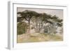 Cedars of Lebanon-Edward Lear-Framed Giclee Print