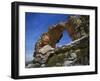 Cederberg, Western Cape Province, South Africa, Africa-I Vanderharst-Framed Photographic Print