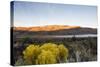 Cederberg Wilderness Area, Western Cape, South Africa, Africa-Christian Kober-Stretched Canvas