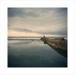 Two male Black grouse fighting for territory on lek, Scotland-null-Framed Photographic Print