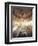 Ceiling Fresco-Giovanni Battista Tiepolo-Framed Giclee Print