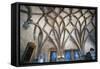 Ceiling in Gothic Style in Vladislav Hall-null-Framed Stretched Canvas