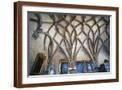 Brown Frame