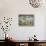 Ceiling Mural of Cranes and Catfish, Nankunshen Temple, Peimen, Taiwan-Steve Satushek-Framed Photographic Print displayed on a wall