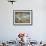 Ceiling Mural of Cranes and Catfish, Nankunshen Temple, Peimen, Taiwan-Steve Satushek-Framed Photographic Print displayed on a wall