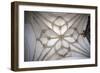 Ceiling of Collegiate Church of Assumption, Osuna, Andalusia, Spain, 16th Century-null-Framed Giclee Print