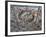 Ceiling of Gothic Church, Chapel of Our Lady of the Rocks, Beram, Istria, Croatia, Europe-Stuart Black-Framed Photographic Print