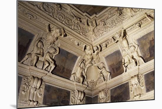 Ceiling of Hall of Magnificence with Stuccoes-null-Mounted Photographic Print