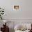 Ceiling of Khas Mahal in Agra Fort, Agra, Uttar Pradesh, India-Ian Trower-Framed Photographic Print displayed on a wall