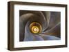 Ceiling of Noble Floor, Casa Batllo, Barcelona, Catalonia, Spain-Stefano Politi Markovina-Framed Photographic Print