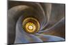 Ceiling of Noble Floor, Casa Batllo, Barcelona, Catalonia, Spain-Stefano Politi Markovina-Mounted Photographic Print