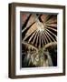 Ceiling of the Guell Crypt, 1908-15-Antoni Gaudí-Framed Giclee Print