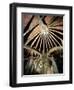 Ceiling of the Guell Crypt, 1908-15-Antoni Gaudí-Framed Giclee Print