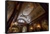 Ceiling Painting in NYPL, New York Public Library-Andrea Lang-Framed Stretched Canvas