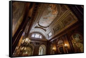 Ceiling Painting in NYPL, New York Public Library-Andrea Lang-Framed Stretched Canvas