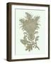 Celadon Floral Motif I-Vision Studio-Framed Art Print