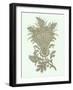 Celadon Floral Motif I-Vision Studio-Framed Art Print