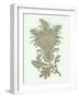 Celadon Floral Motif I-Vision Studio-Framed Art Print