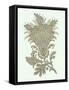 Celadon Floral Motif I-Vision Studio-Framed Stretched Canvas