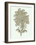 Celadon Floral Motif III-Vision Studio-Framed Art Print