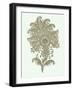 Celadon Floral Motif III-Vision Studio-Framed Art Print