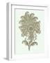 Celadon Floral Motif III-Vision Studio-Framed Art Print