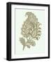 Celadon Floral Motif IV-Vision Studio-Framed Art Print