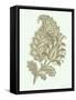 Celadon Floral Motif IV-Vision Studio-Framed Stretched Canvas