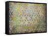 Celadon Flowers-Kari Taylor-Framed Stretched Canvas