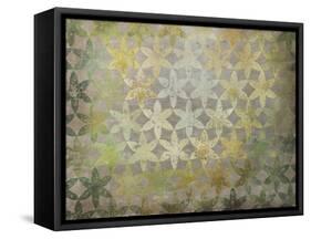 Celadon Flowers-Kari Taylor-Framed Stretched Canvas