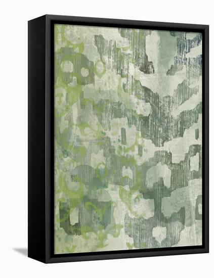 Celadon Ikat I-Chariklia Zarris-Framed Stretched Canvas