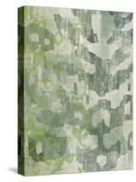 Celadon Ikat I-Chariklia Zarris-Stretched Canvas