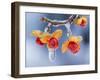 Celastrus Orbiculatus-null-Framed Photographic Print