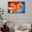 Celebrate Autumn-Philippe Sainte-Laudy-Framed Stretched Canvas displayed on a wall