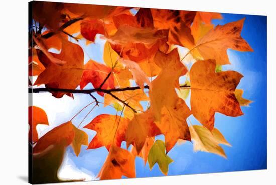 Celebrate Autumn-Philippe Sainte-Laudy-Stretched Canvas