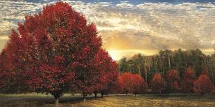 Crimson Trees-Celebrate Life Gallery-Art Print