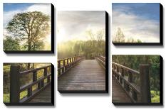 Morning Trail-Celebrate Life Gallery-Stretched Canvas