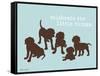 Celebrate Little Things-Dog is Good-Framed Stretched Canvas