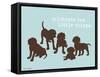 Celebrate Little Things-Dog is Good-Framed Stretched Canvas