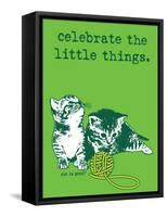 Celebrate the Little Things-Cat is Good-Framed Stretched Canvas