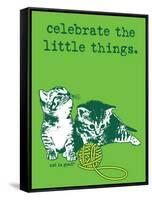 Celebrate the Little Things-Cat is Good-Framed Stretched Canvas
