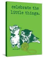 Celebrate the Little Things-Cat is Good-Stretched Canvas