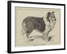 Celebrated Dogs, Charlemagne-Louis Wain-Framed Giclee Print