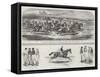 Celebrated Racehorses and Jockeys-Alfred de Prades-Framed Stretched Canvas