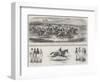 Celebrated Racehorses and Jockeys-Alfred de Prades-Framed Giclee Print