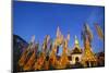 Celebrating Khao Pansaa at Pha That Luang Temple, Vientiane, Laos-Alain Evrard-Mounted Photographic Print