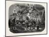 Celebrating the Feast of St. Barbara, Vincennes, 1855-null-Mounted Giclee Print